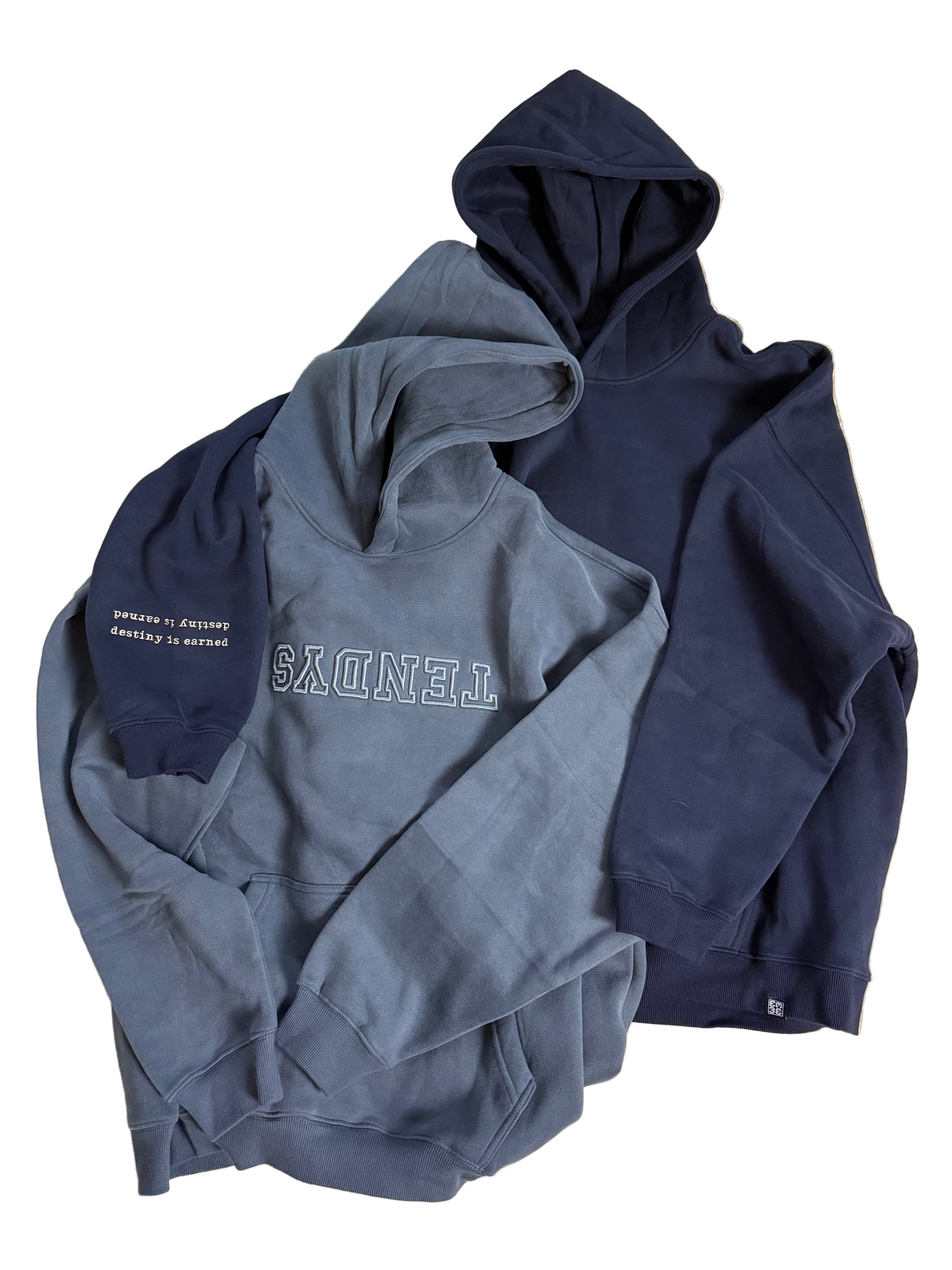 Destiny is Earned Hoodie